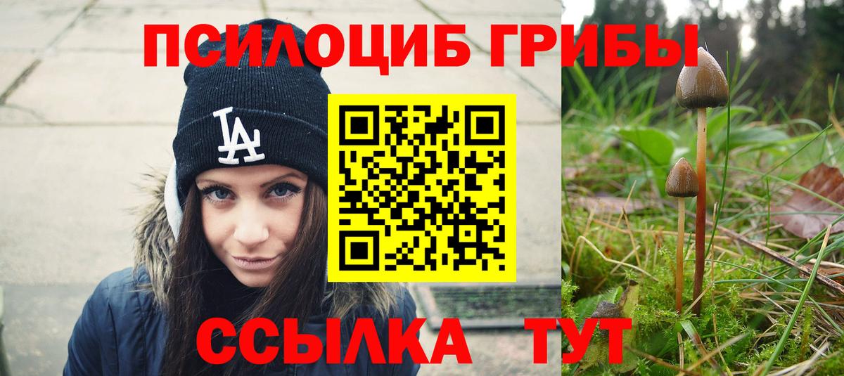 Псилоцибиновые грибы Cubensis  Галлюциногенные грибы ЛСД  Вход с VPN  купить  сайты  Иваново 